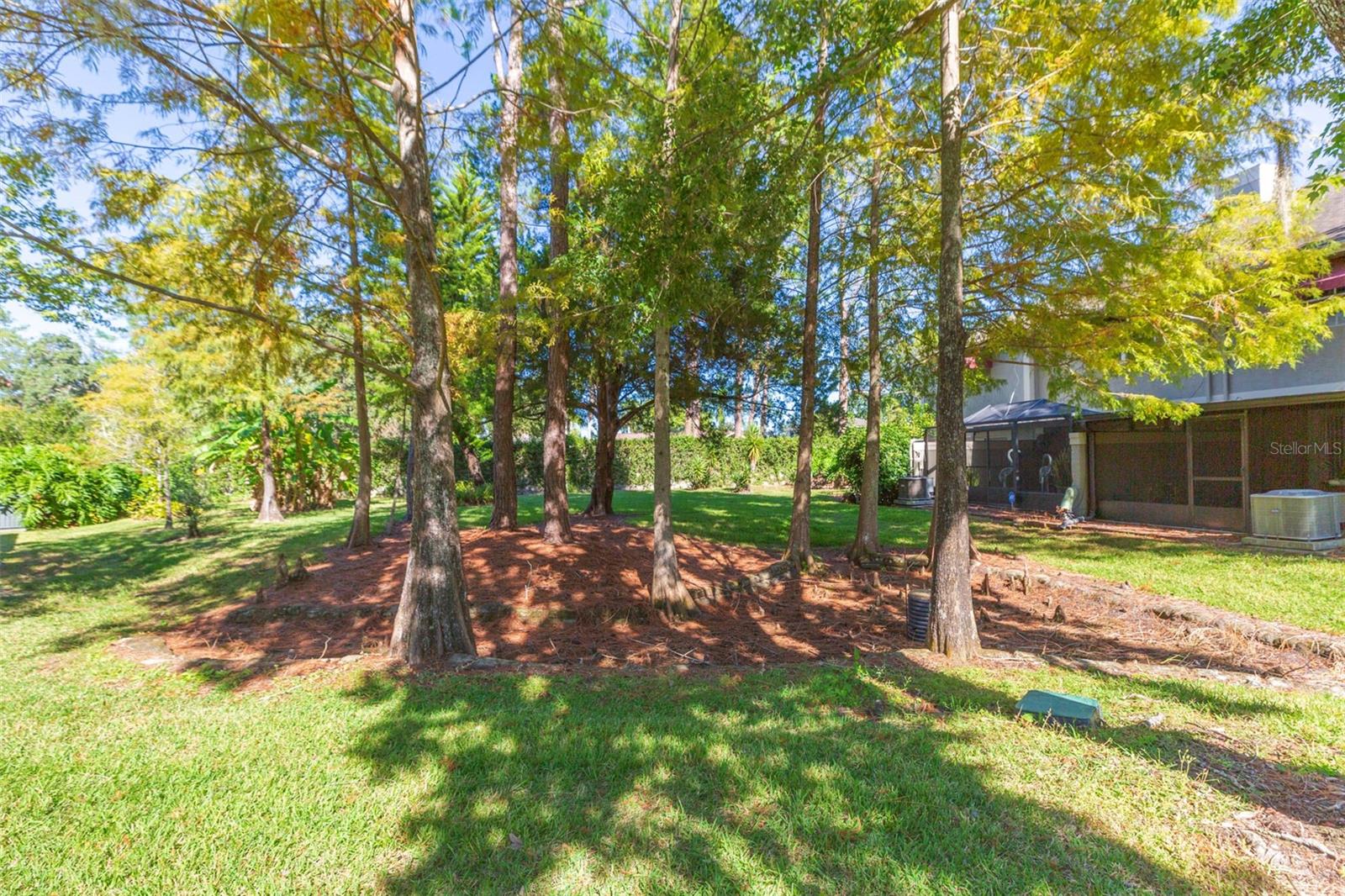 CARROLLWOOD VILLAGE PH III - Residential Lease