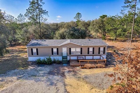 Photo of 152 Piper Drive, Hawthorne, FL 32640 (MLS # GC537299)