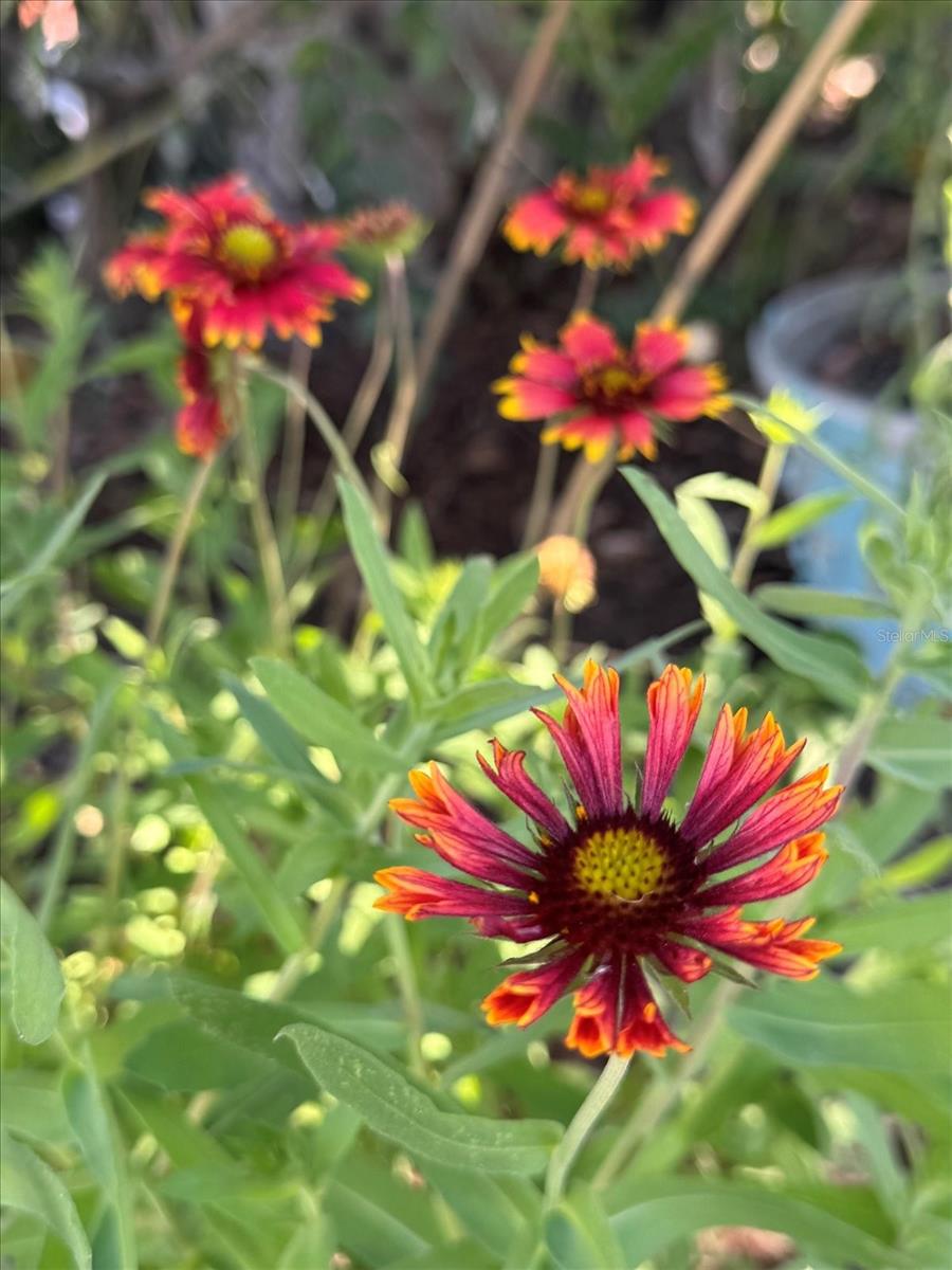 SUNSET BEACH - Residential