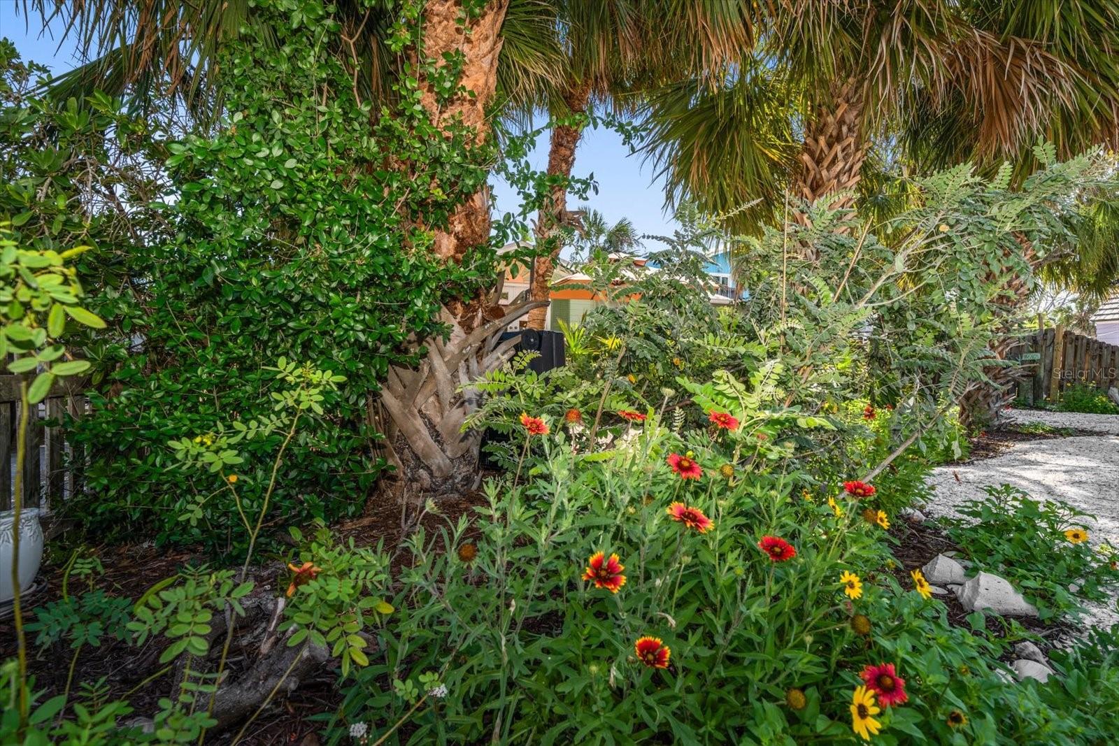 SUNSET BEACH - Residential