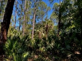ACREAGE - Land
