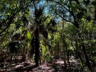 ACREAGE - Land