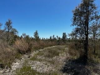 ACREAGE - Land
