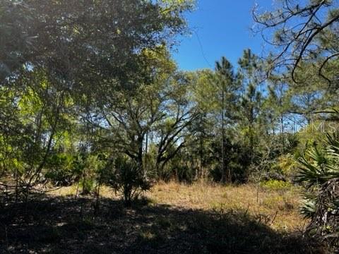 ACREAGE - Land