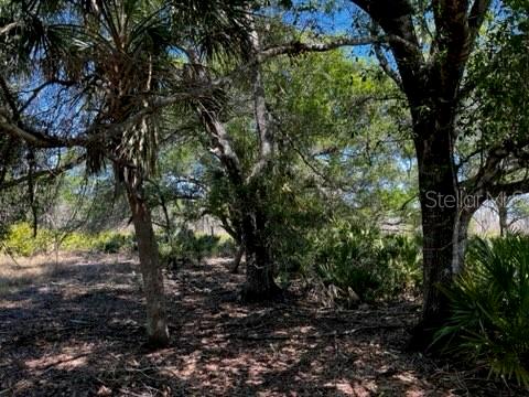 ACREAGE - Land
