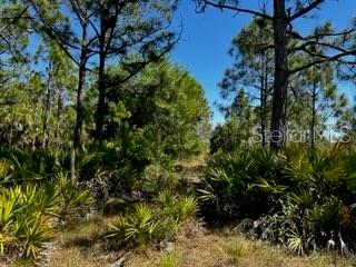 ACREAGE - Land