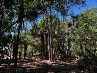 ACREAGE - Land