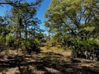 ACREAGE - Land