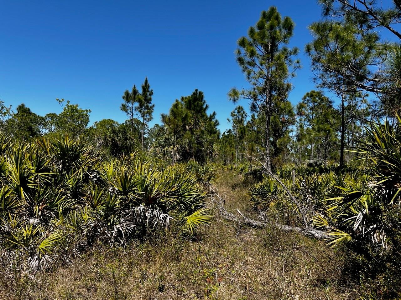 ACREAGE - Land