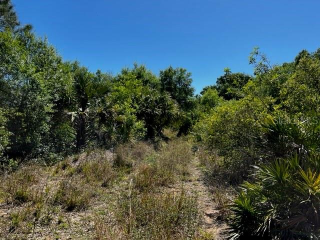 ACREAGE - Land