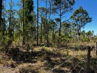 ACREAGE - Land