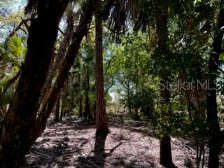 ACREAGE - Land