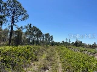 ACREAGE - Land