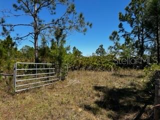 ACREAGE - Land