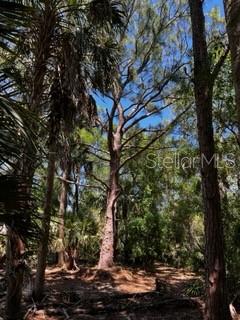 ACREAGE - Land