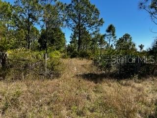 ACREAGE - Land