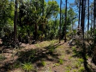 ACREAGE - Land