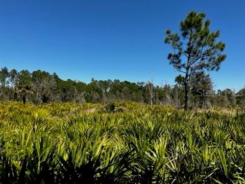 ACREAGE - Land
