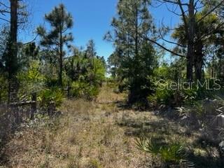 ACREAGE - Land