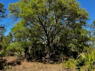 ACREAGE - Land