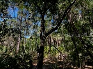 ACREAGE - Land
