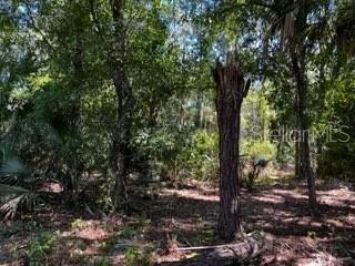 ACREAGE - Land