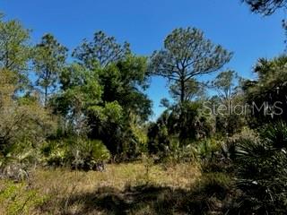 ACREAGE - Land