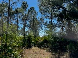 ACREAGE - Land