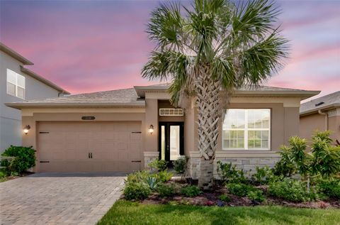 3060 MOUNTAIN SPRUCE TERRACE WESLEY CHAPEL FL 33543