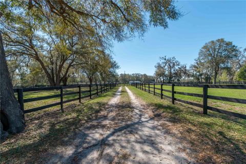Tiny photo for 1631 NE 165th Street, Citra, FL 32113 (MLS # OM695018)