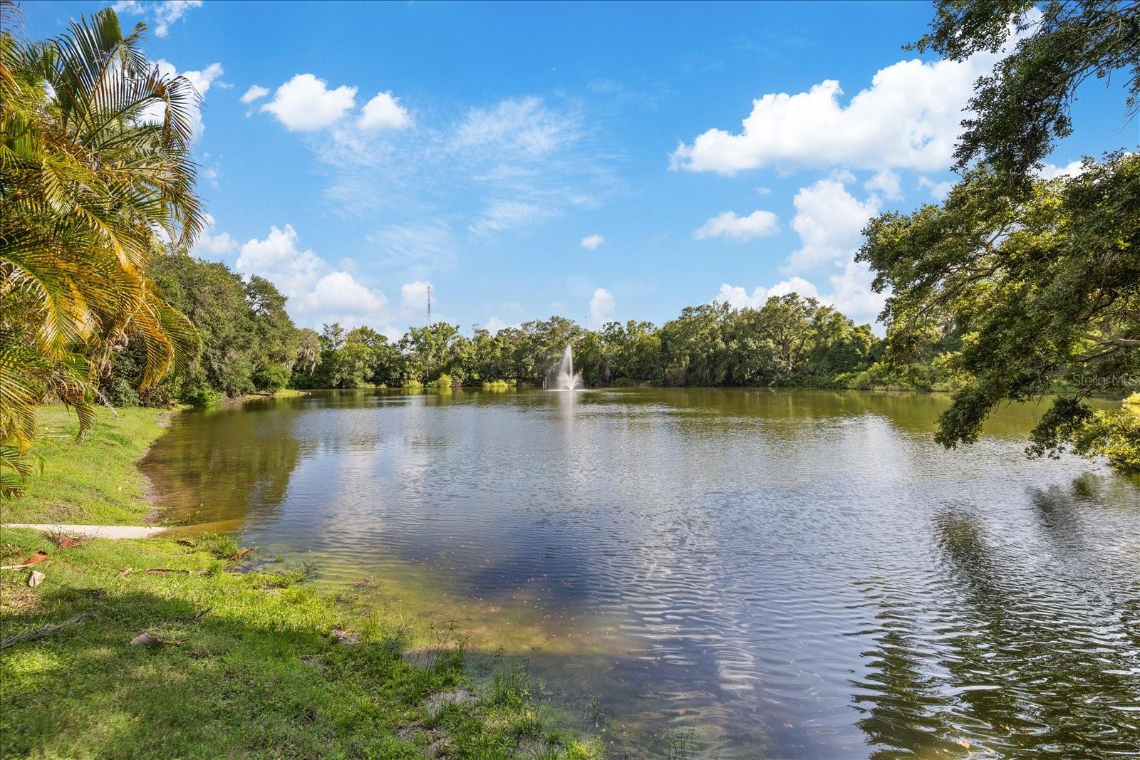 WEDGE WOOD OF PALM HARBOR - Residential