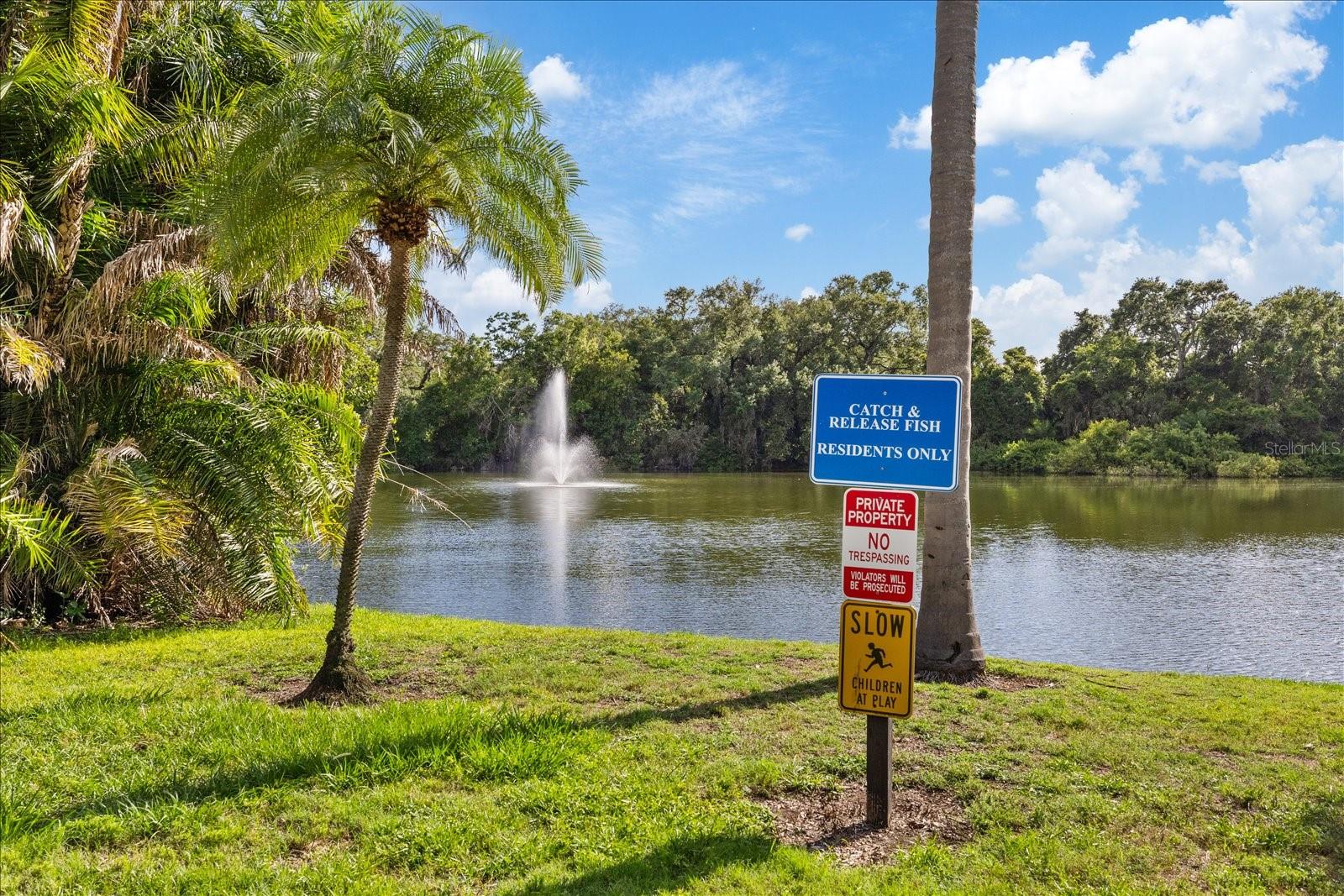 WEDGE WOOD OF PALM HARBOR - Residential