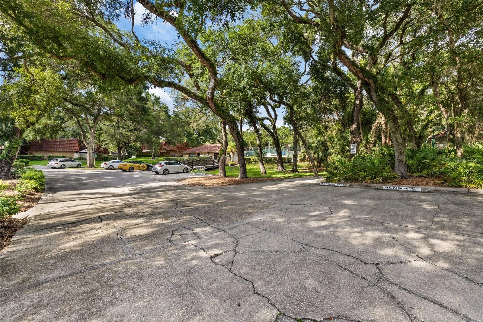 WEDGE WOOD OF PALM HARBOR - Residential