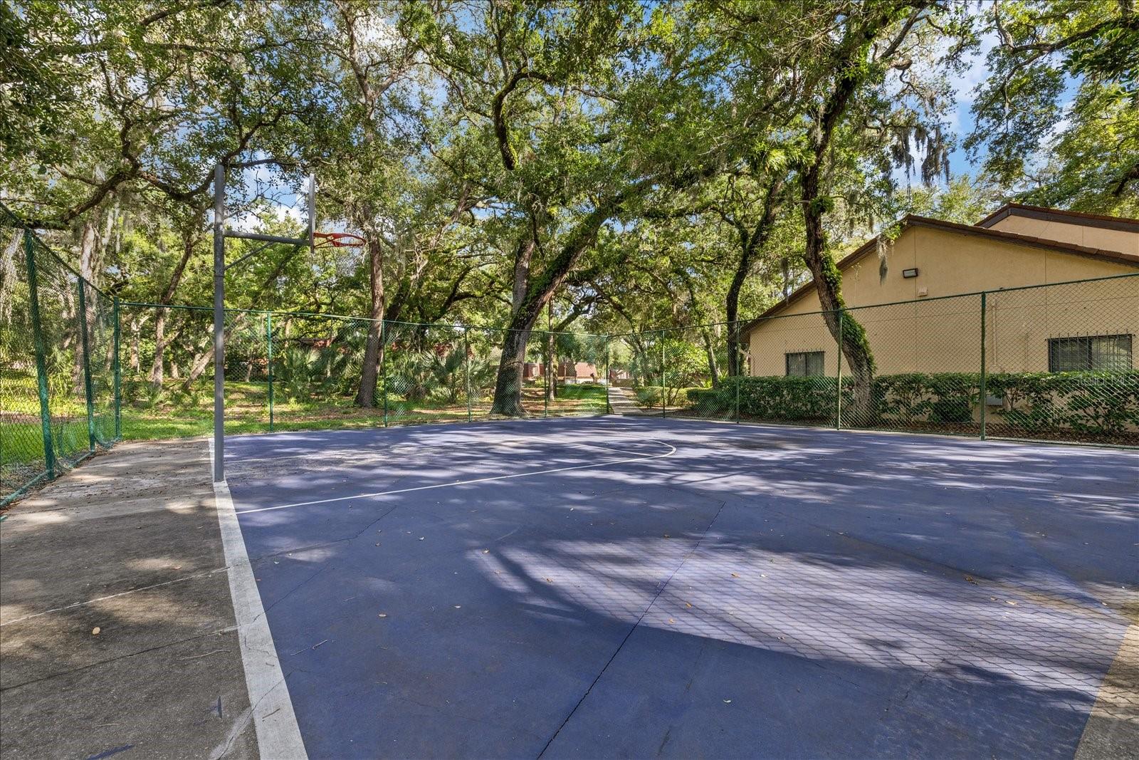 WEDGE WOOD OF PALM HARBOR - Residential