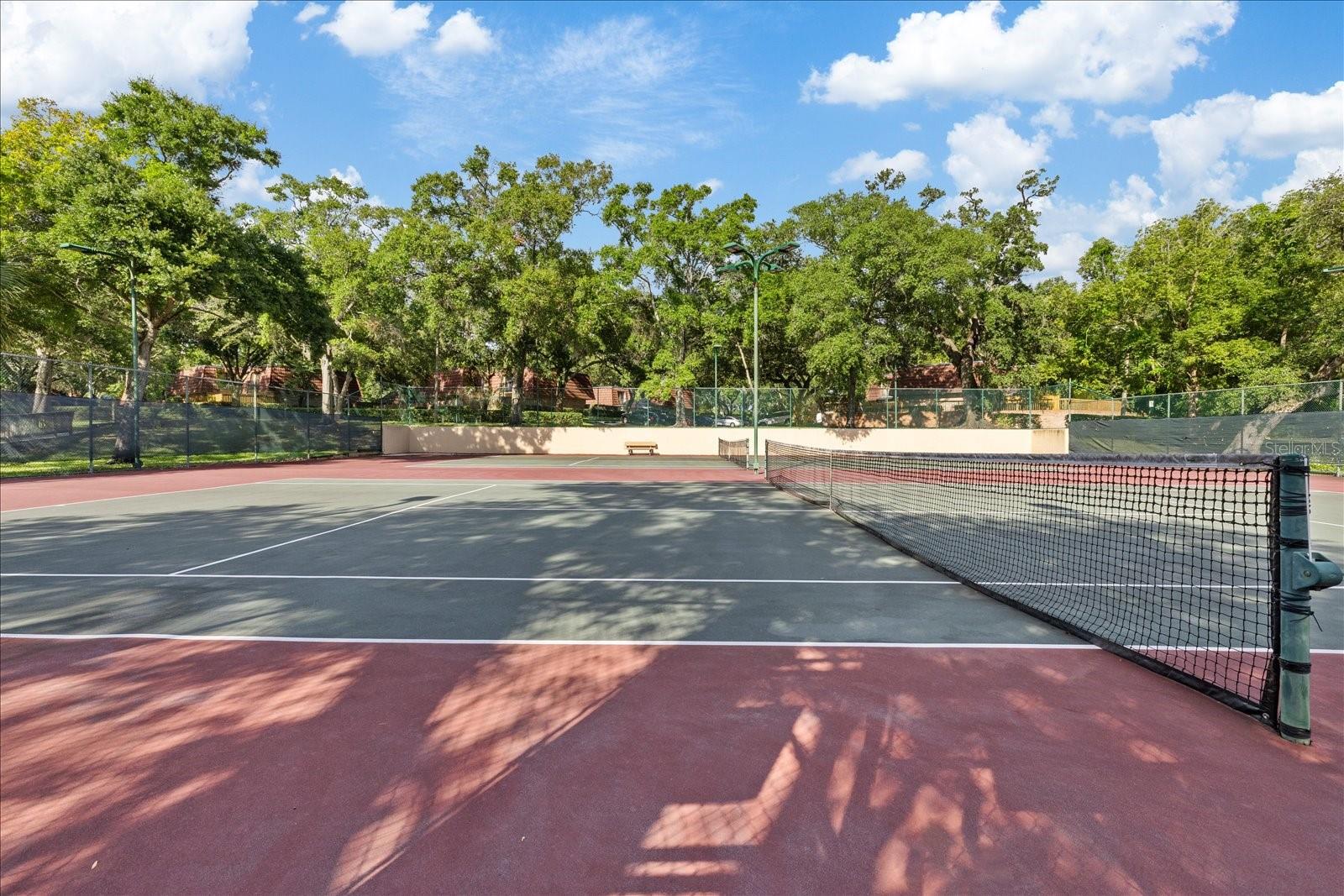 WEDGE WOOD OF PALM HARBOR - Residential