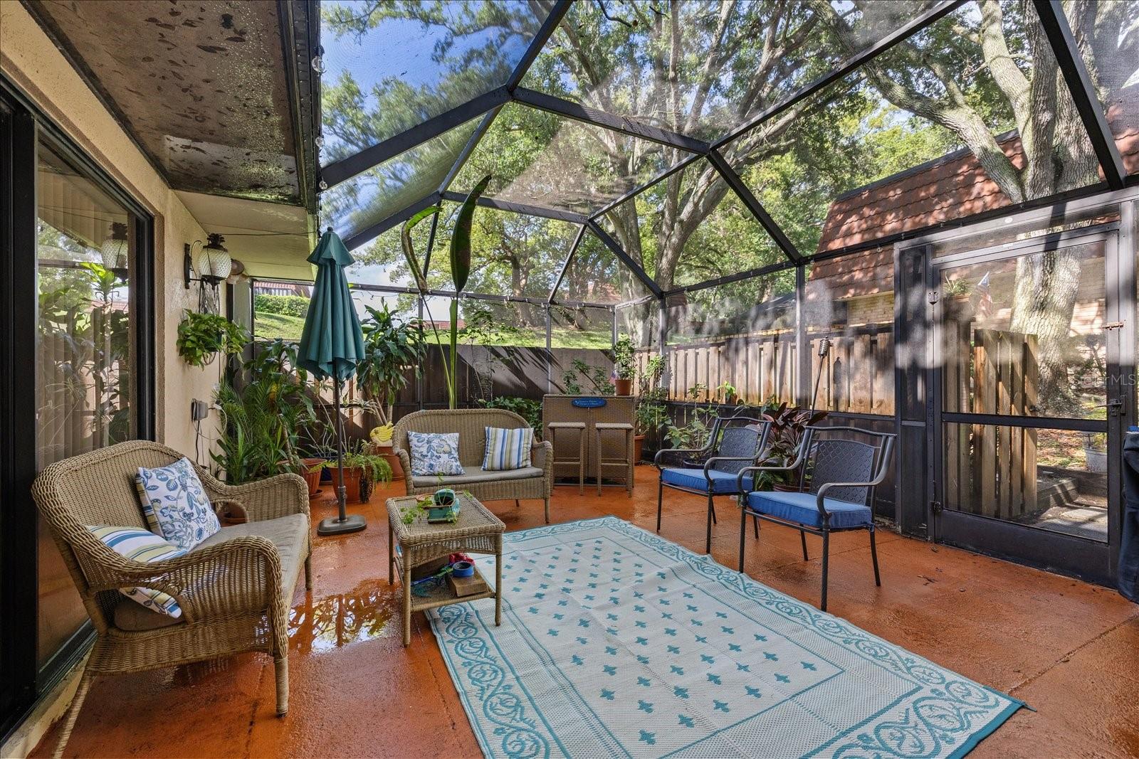 WEDGE WOOD OF PALM HARBOR - Residential