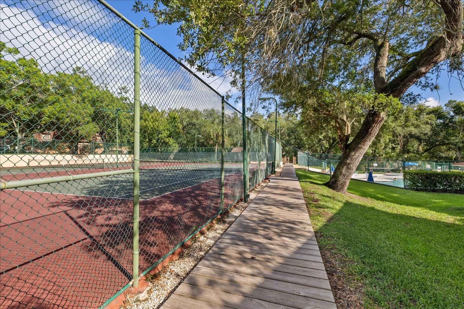 WEDGE WOOD OF PALM HARBOR - Residential