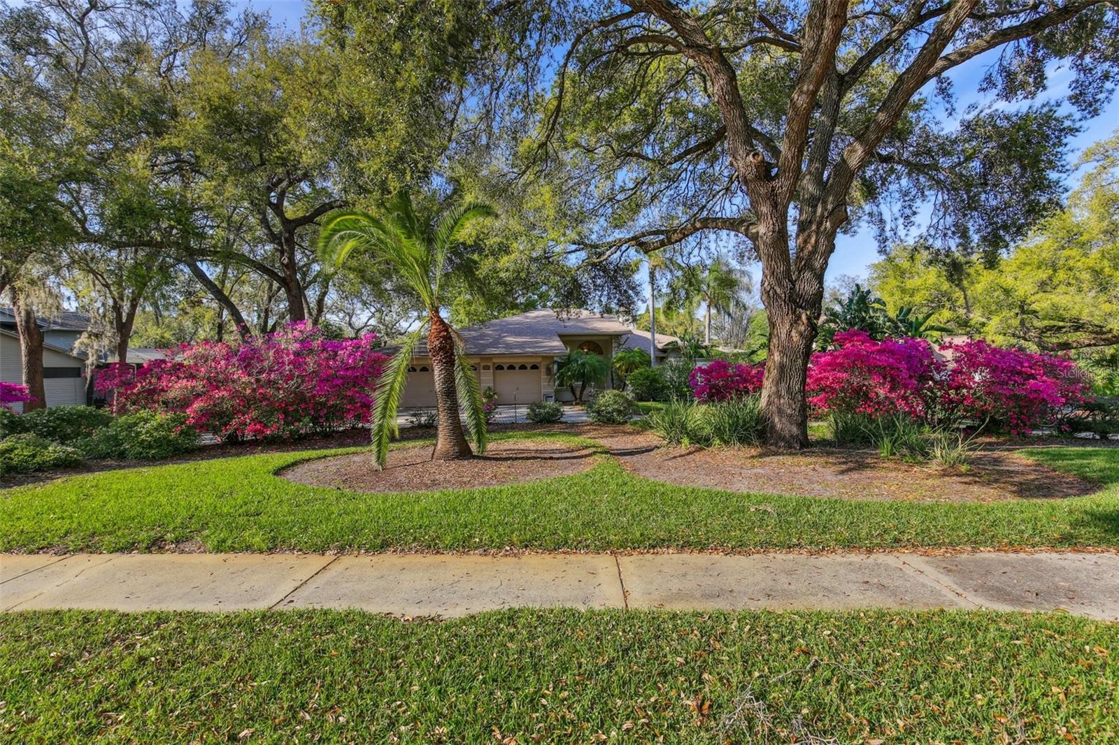 8823 CRESCENT FOREST BOULEVARD