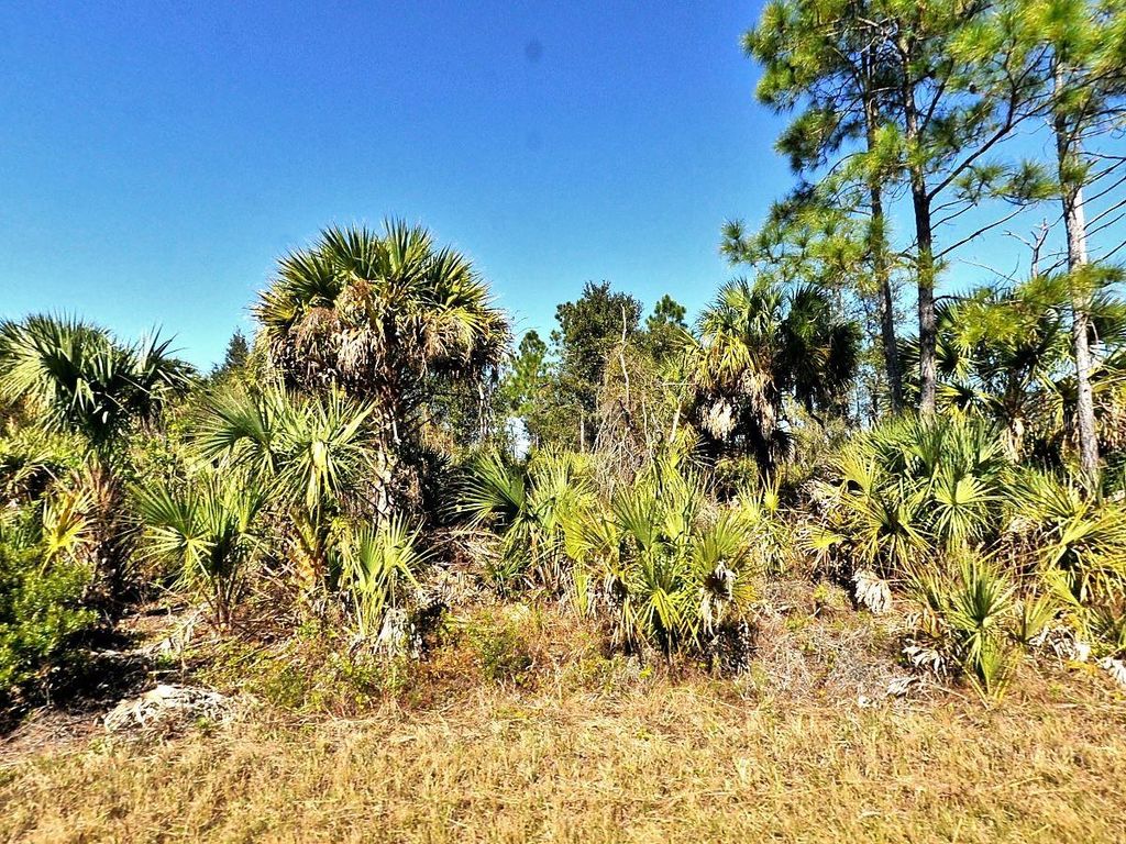 Photo of Fiveleaf Road, North Port, FL 34288 (MLS # C7512885)