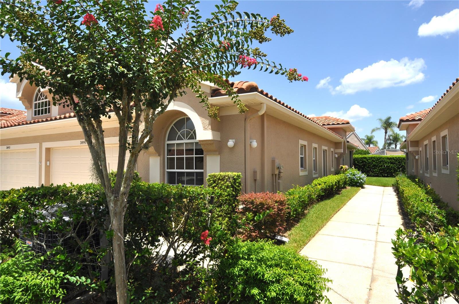 3891 TIMBER RIDGE COURT