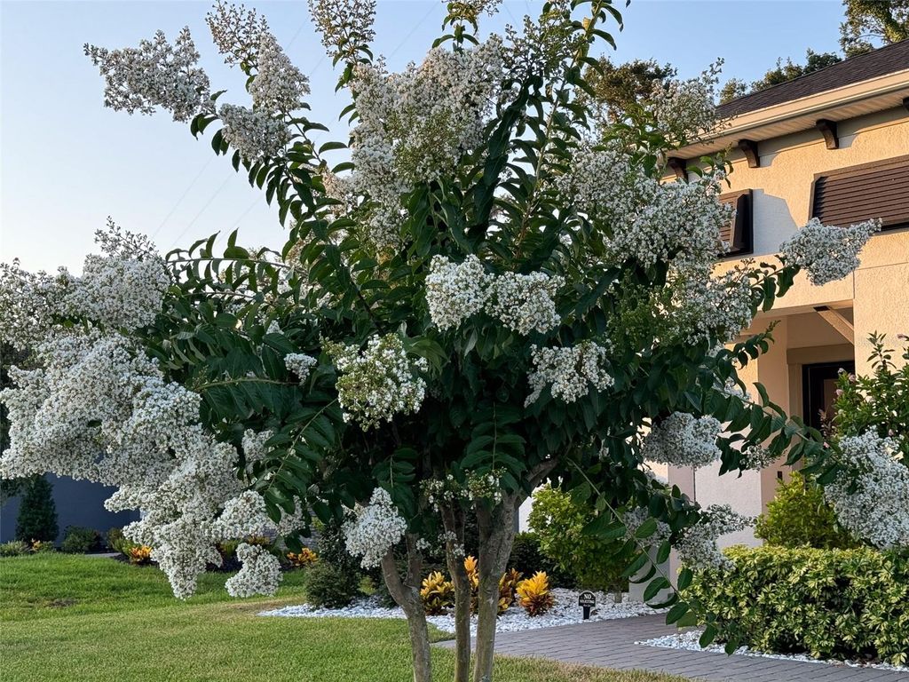 Photo of 14110 Tomentosa Avenue, Riverview, FL 33569 (MLS # TB8471327)