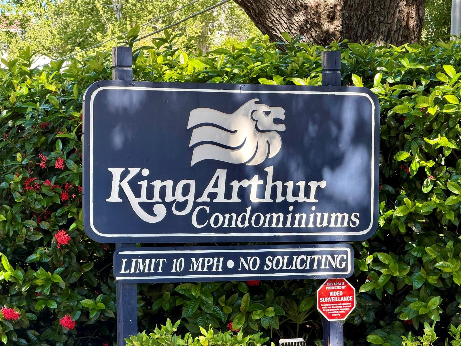 1127 KING ARTHUR COURT 309