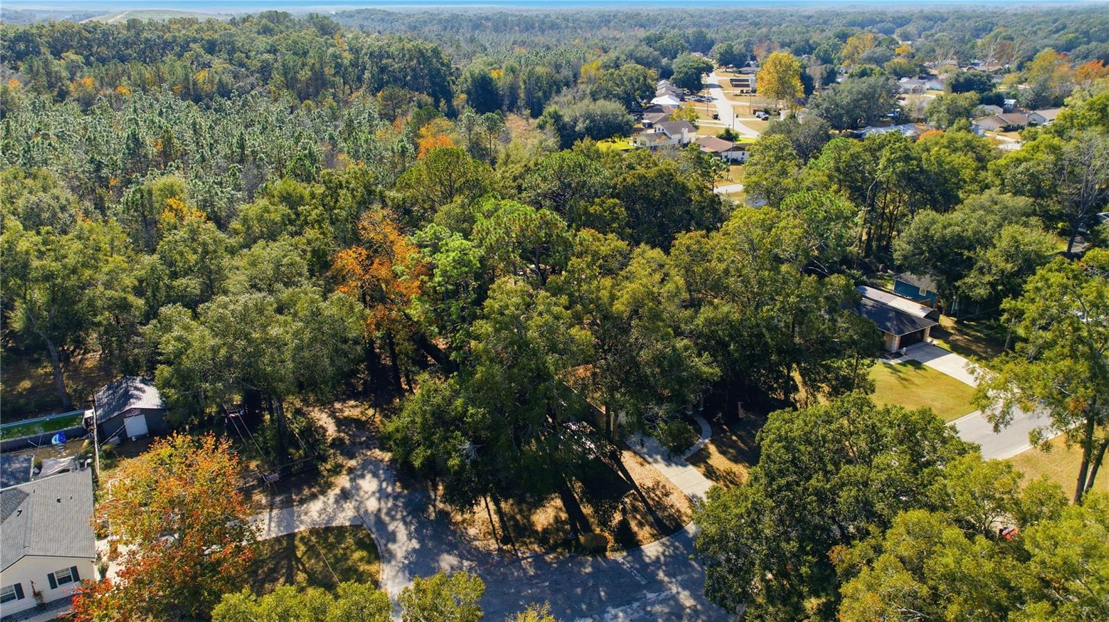 SUN TREE - Residential