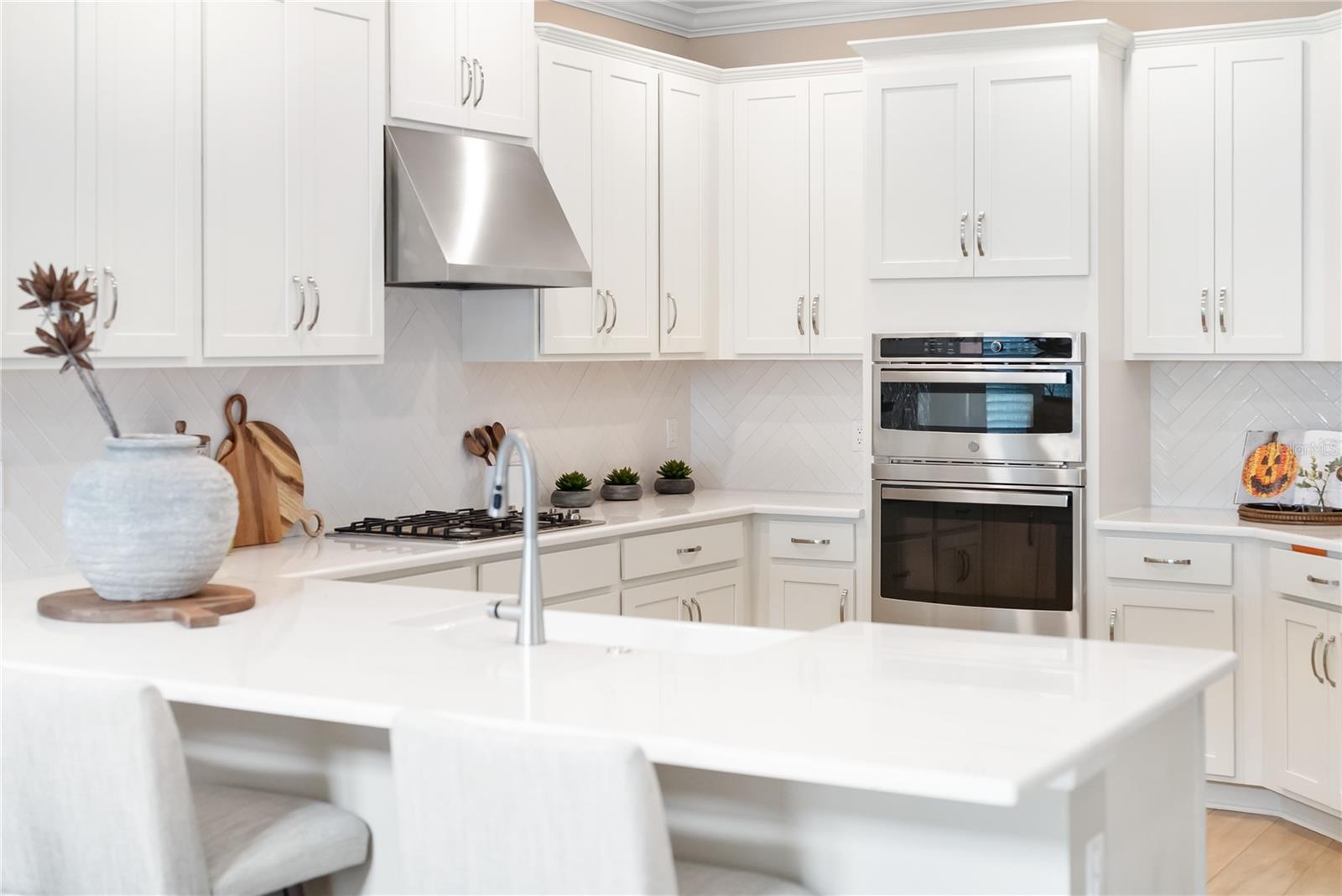 PARK EAST AT AZARIO PH II - Residential