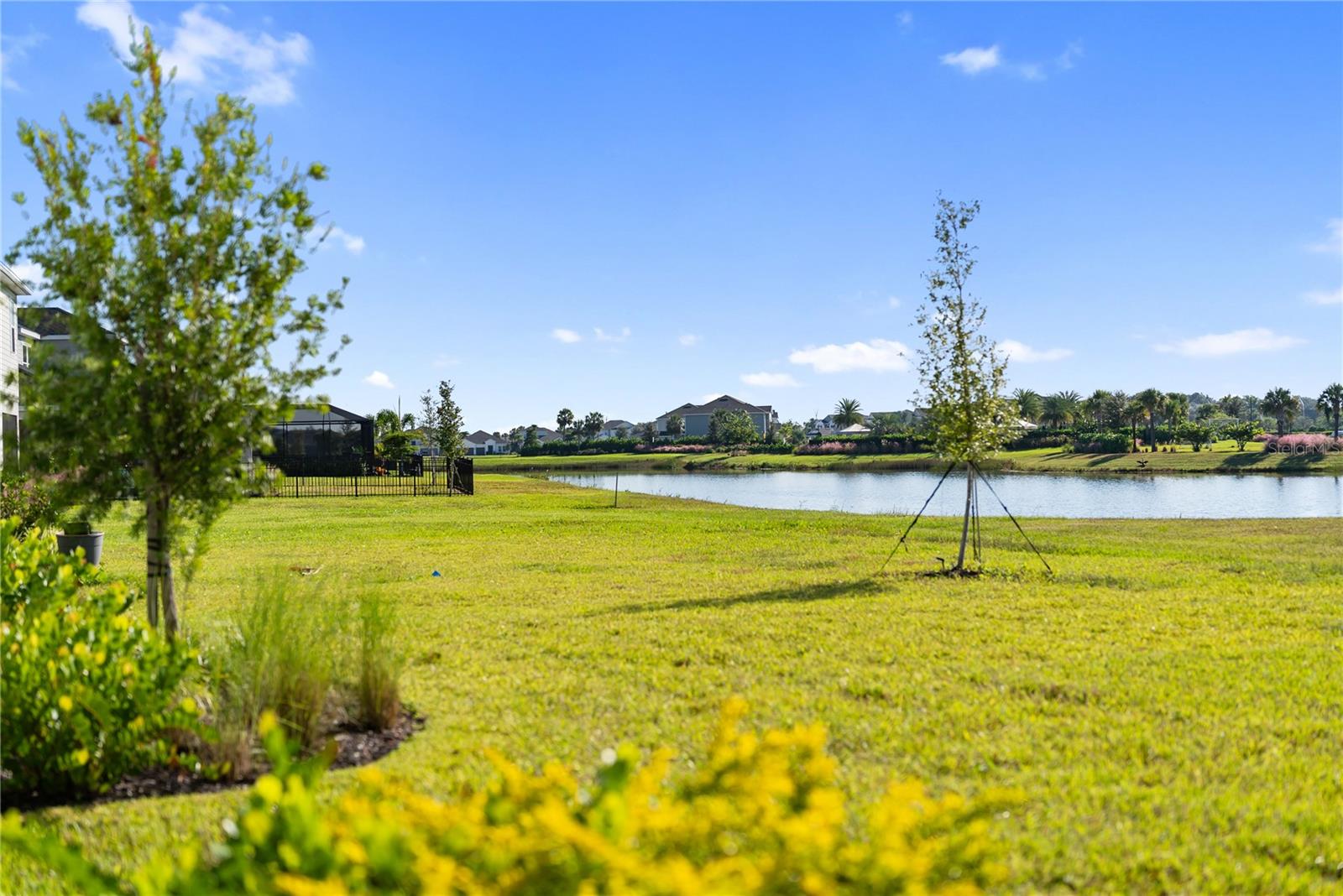 PARK EAST AT AZARIO PH II - Residential