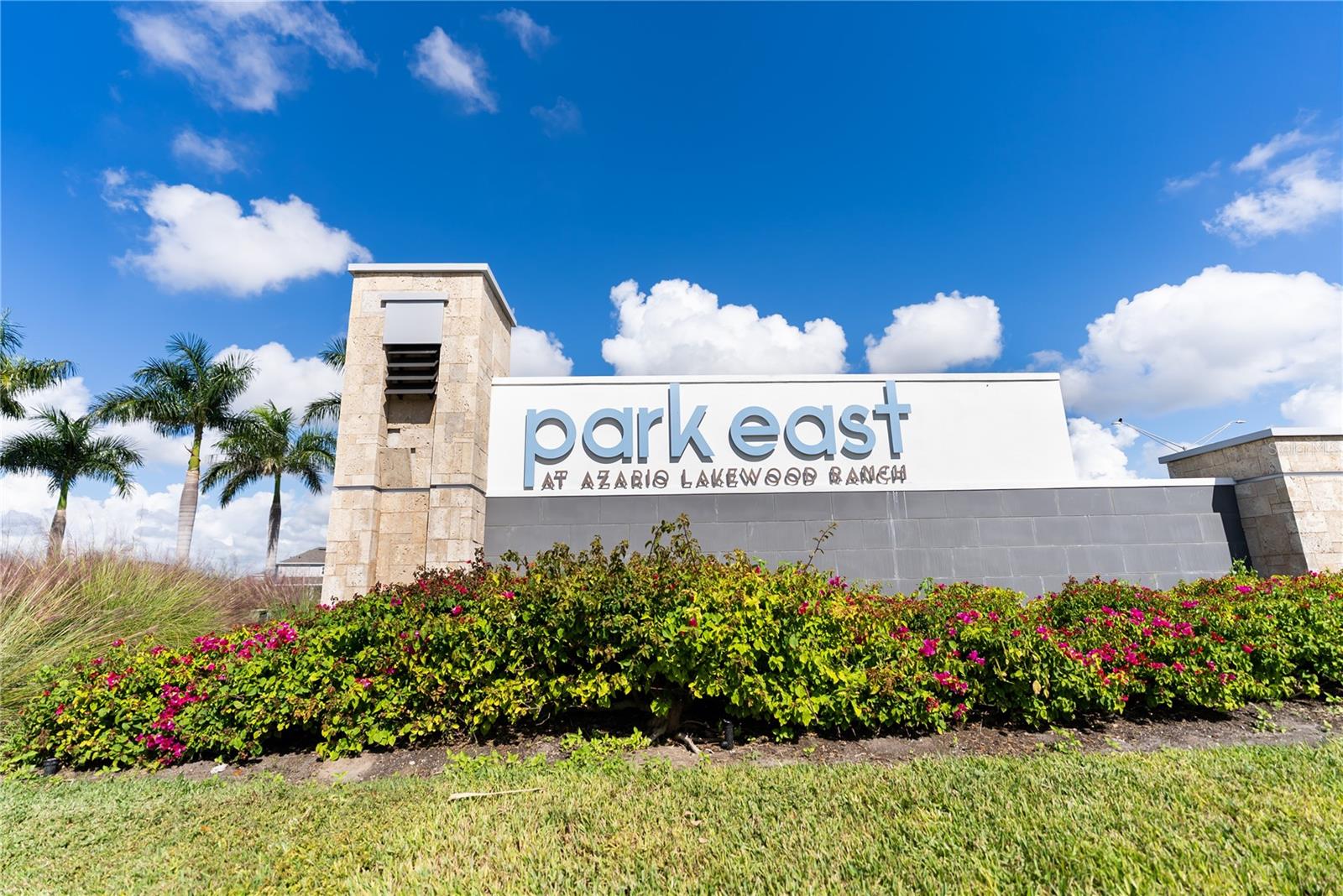 PARK EAST AT AZARIO PH II - Residential