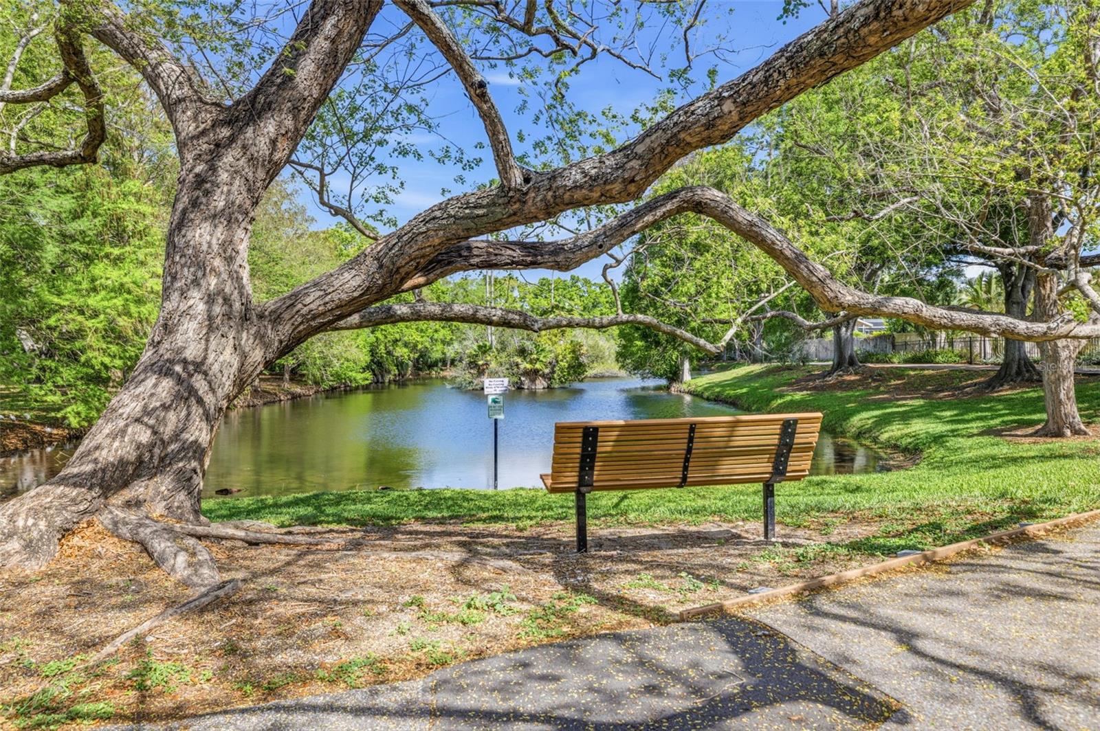 SCOTSDALE VILLA CONDO - Residential