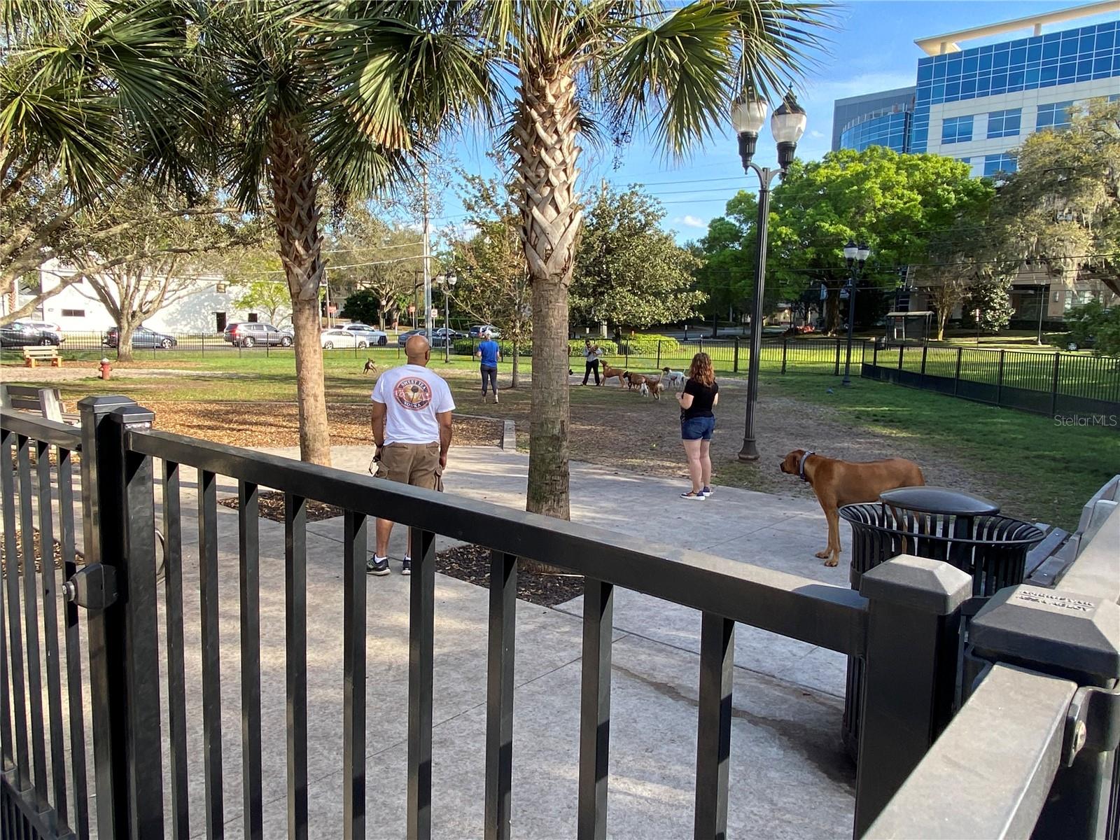 ACREAGE - Residential Lease