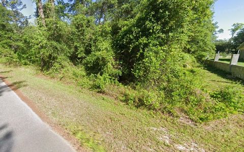 Tiny photo for Sequoia Drive, Ocklawaha, FL 32179 (MLS # A4684786)