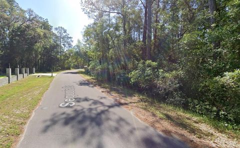 Tiny photo for Sequoia Drive, Ocklawaha, FL 32179 (MLS # A4684786)
